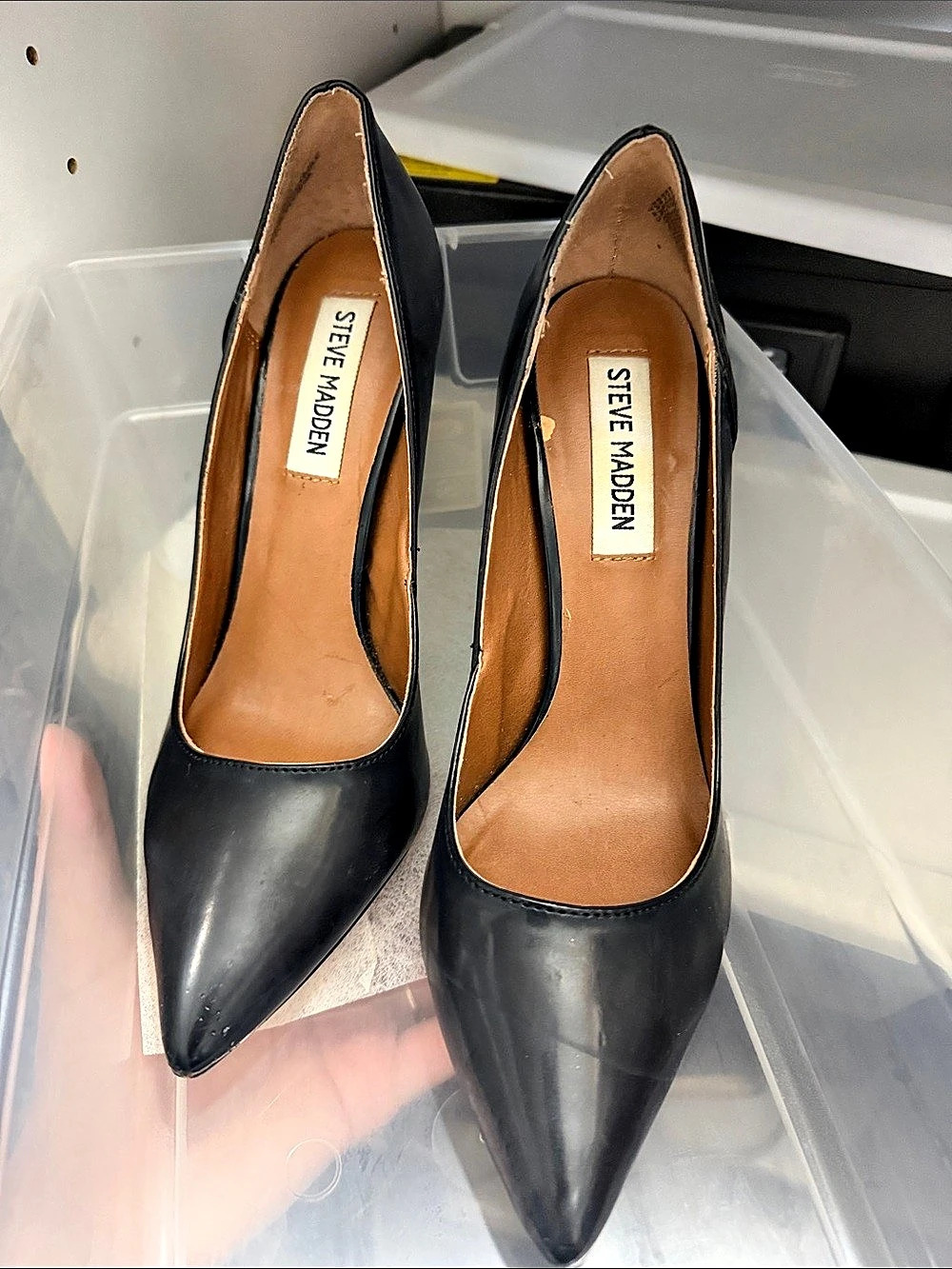 Steve Madden Noir Pointed-Toe Stiletto Pump Black